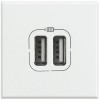 USB-Lademodul Bticino Axolute 2 Module Farbe Weiß HD4285C2 USB-Lademodul Bticino Axolute 2 Module Farbe Weiß HD4285C2