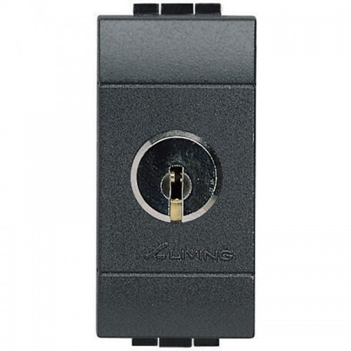 Bticino Wohnlichtschalter mit Schlüssel 16A L4012 Bticino Wohnlichtschalter mit Schlüssel 16A L4012