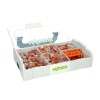 Wago Verbindungsklemmen-Sortiment 887-952 Wago Verbindungsklemmen-Sortiment 887-952