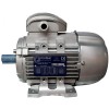 Elektromotor Motive Drehstrom 0,55 KW 2P B5 230/400 71B-2B5 Elektromotor Motive Drehstrom 0,55 KW 2P B5 230/400 71B-2B5
