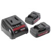 Ridgid Set mit 2x 2.0 Ah Akku + Ladegerät 61743 Ridgid Set mit 2x 2.0 Ah Akku + Ladegerät 61743