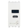 Netzgerät Vimar Arke USB A+C 5V 2,4A 1 Modul weiß 19292.AC.B Netzgerät Vimar Arke USB A+C 5V 2,4A 1 Modul weiß 19292.AC.B