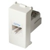 Master Mix RJ45 Stecker 8/8 weiß 21218 Master Mix RJ45 Stecker 8/8 weiß 21218