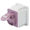 Gewiss feste Wandsteckdose 2P 16A IP44 violett 24V GW62456 Gewiss feste Wandsteckdose 2P 16A IP44 violett 24V GW62456