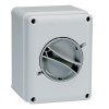 Palazzoli Wandmontierter Trennschalter 2X16A IP65 209162 Palazzoli Wandmontierter Trennschalter 2X16A IP65 209162