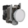 Telemecanique Leuchtdrucktaster Weiß LED 24V XB4BVB1 Telemecanique Leuchtdrucktaster Weiß LED 24V XB4BVB1