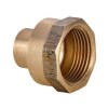 IBP Übergangsmuffe für Wasser und Gas I 42 mm x 1 1/2 4270G042012000