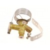 Thermostatisches Expansionsventil komplett DANFOSS - TES2, R404A,R507, ohne MOP, ohne Düse Thermostatisches Expansionsventil komplett DANFOSS - TES2, R404A,R507, ohne MOP, ohne Düse
